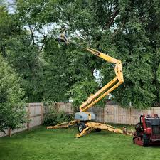Best Artificial Turf Installation  in Forest Ranch, CA